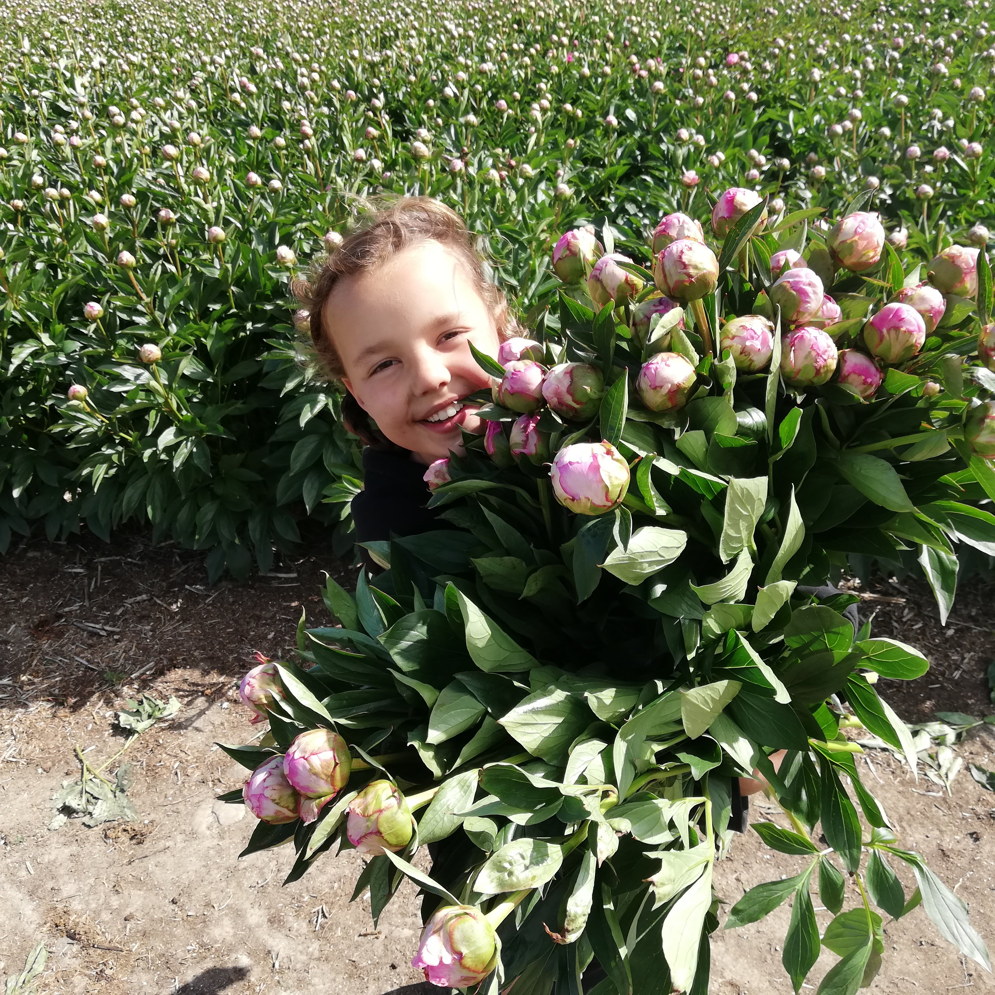 Picking for tomorrow's deliveries