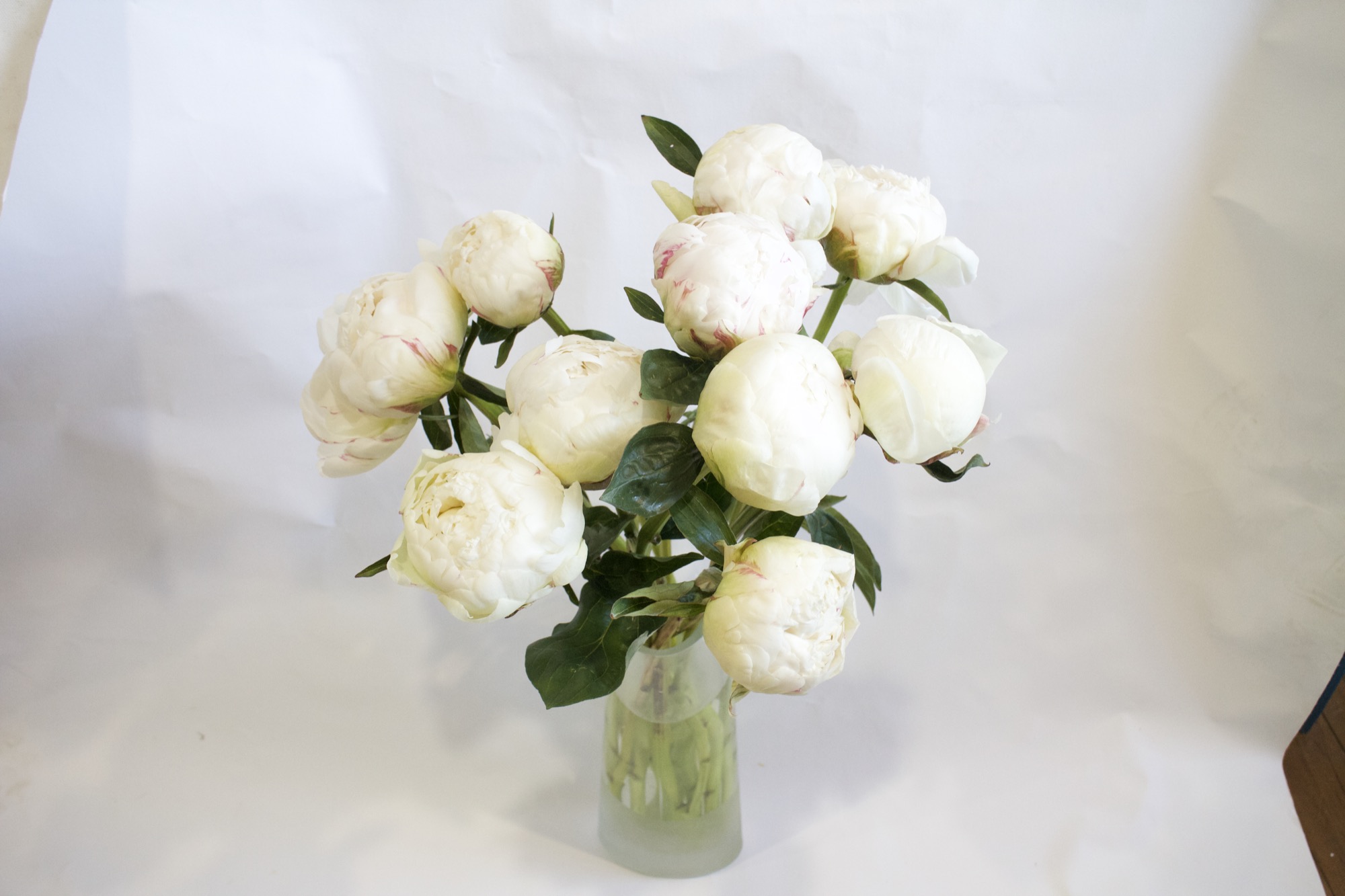 Studio whites — late-season
